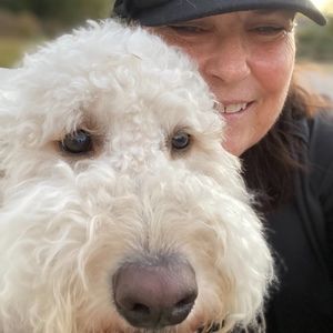 Meet your Posher, Posh